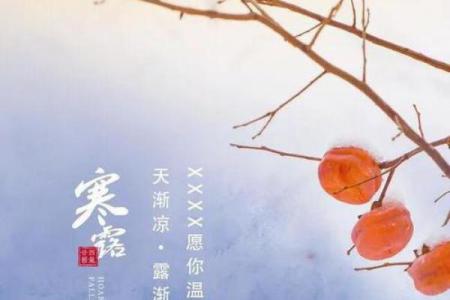寒露_寒意渐浓